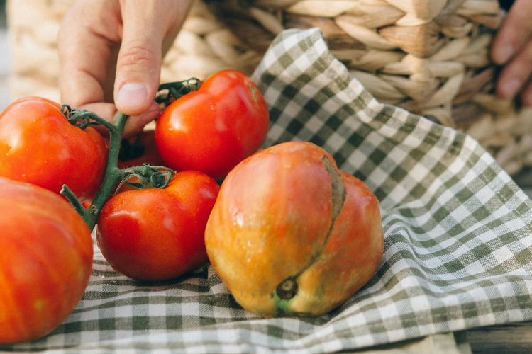 Catering-cantábrico
